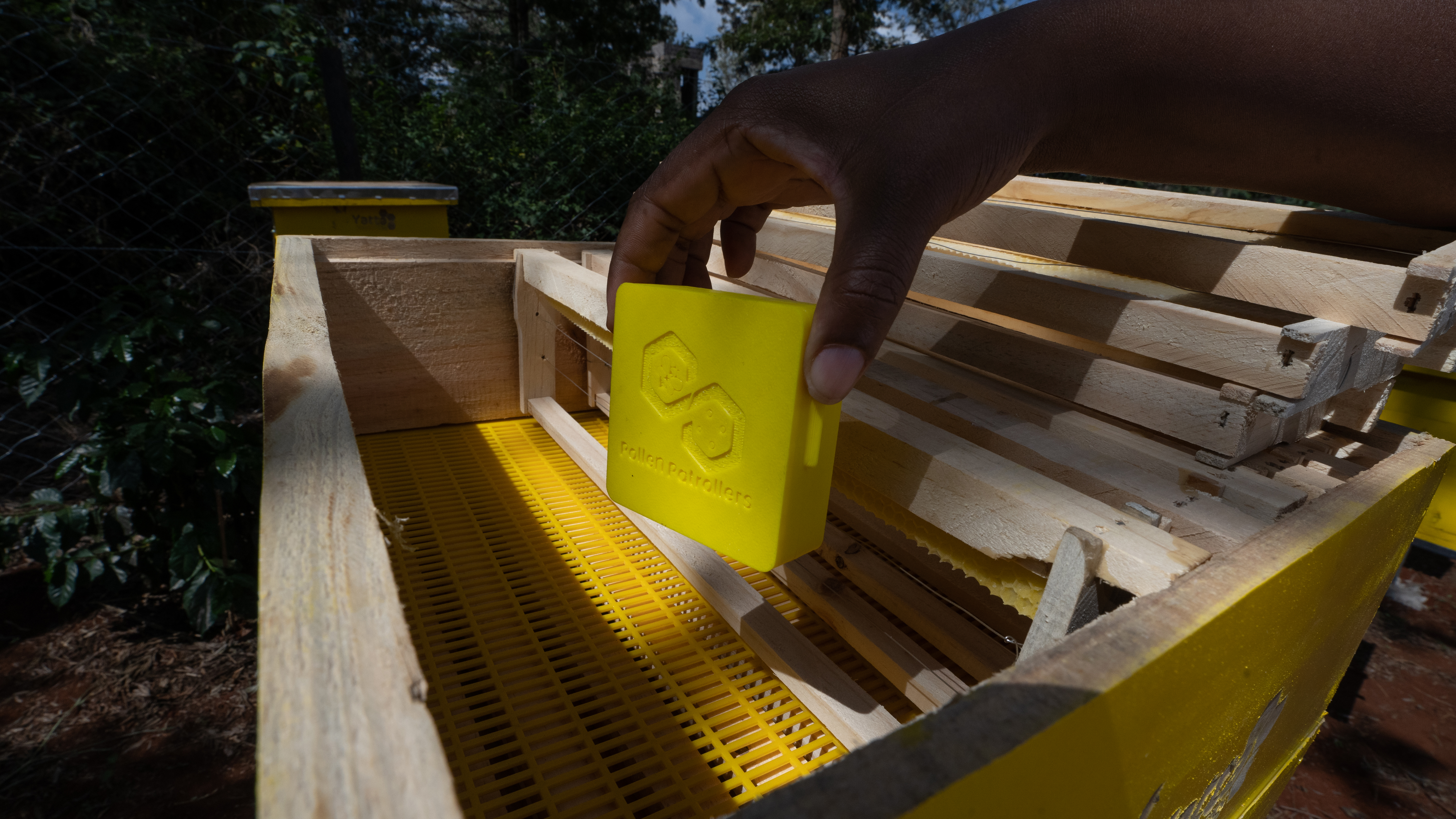 IoT Device Deployment