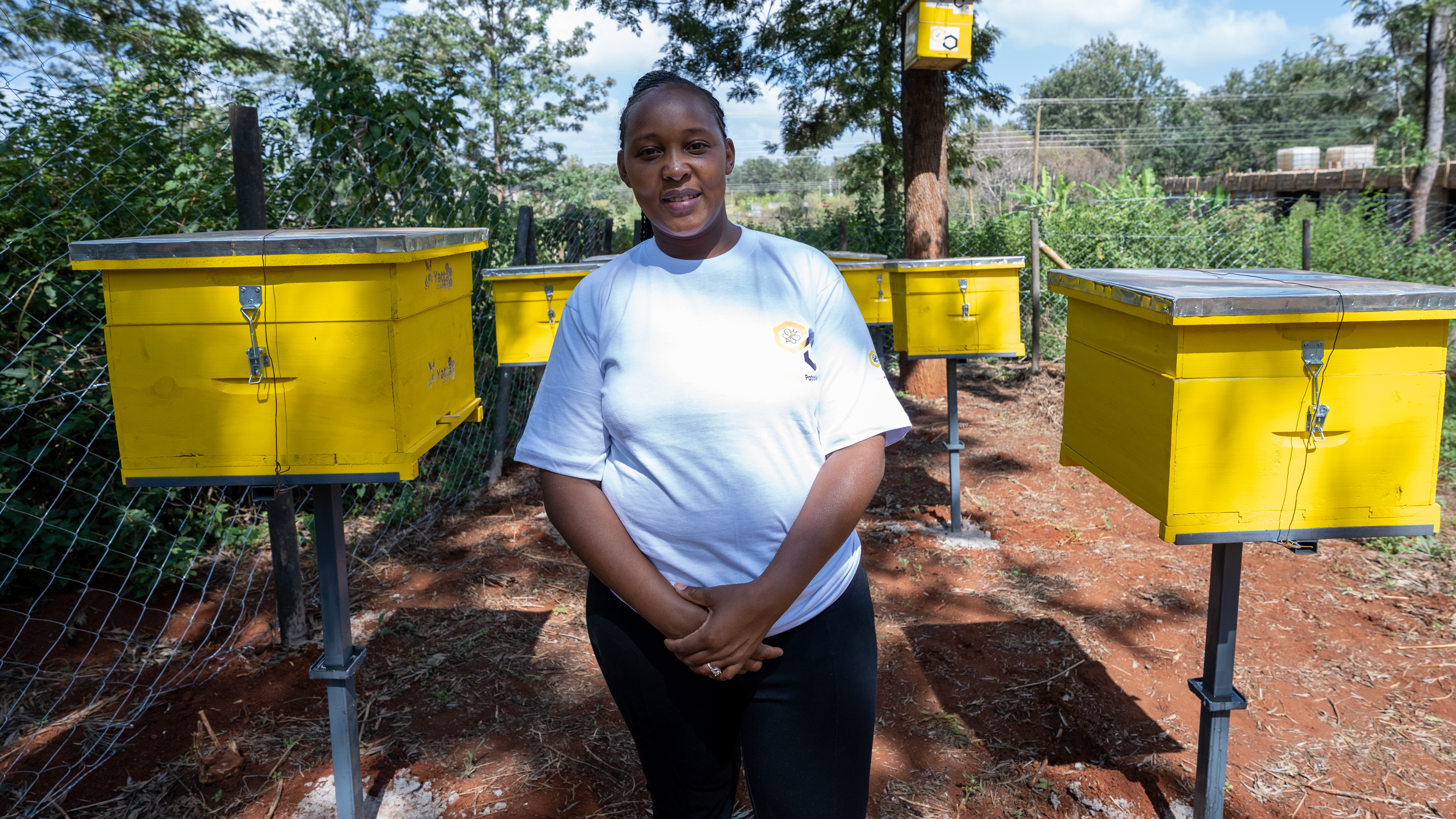 Smart Hive Technology