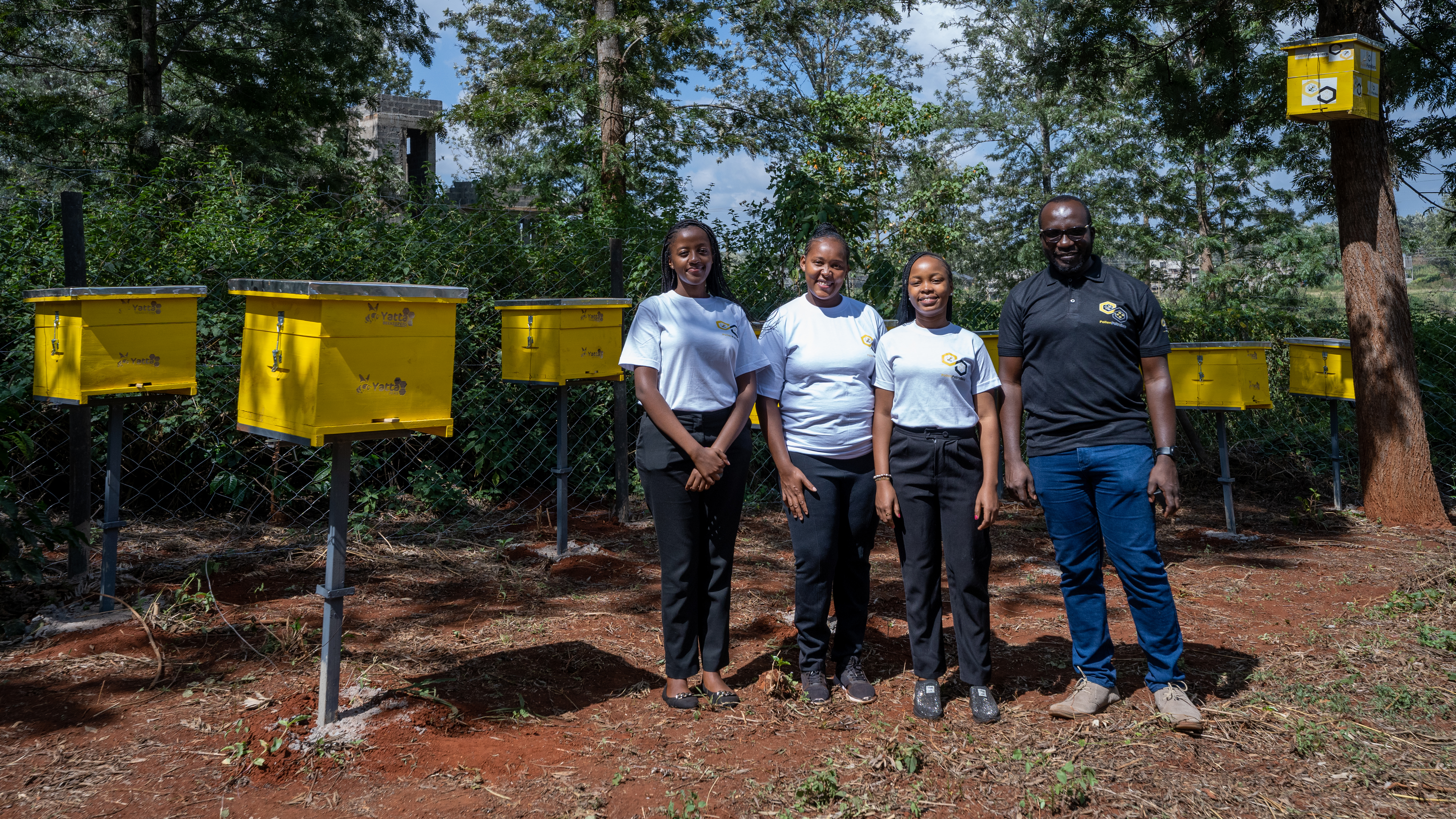 Pollination Services Demonstration