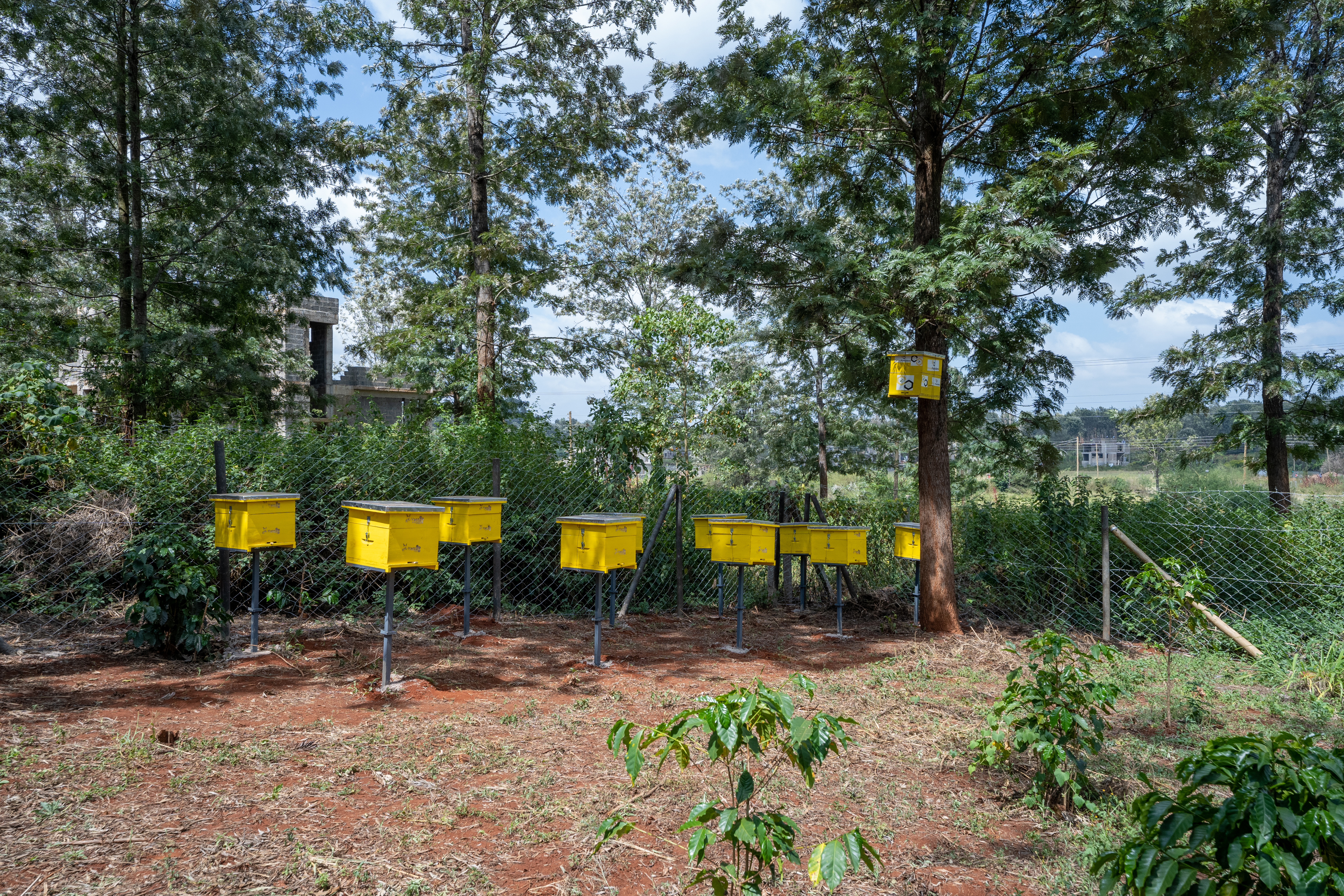 Sustainable Farming Practices